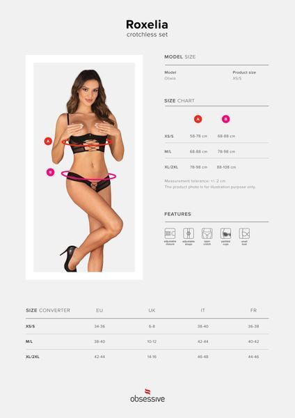 Комплект Obsessive Roxelia 2-pcs crotchless set XS/S SO9071 фото