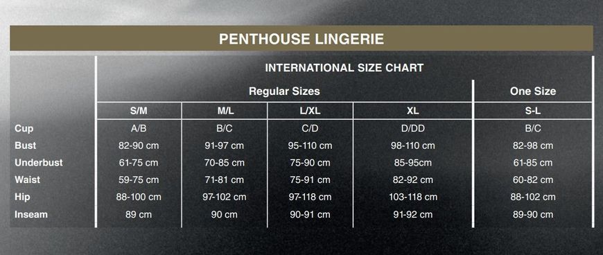 Міні-сукня сітка з горлом Penthouse - Epic Night Black XL SO5253 фото